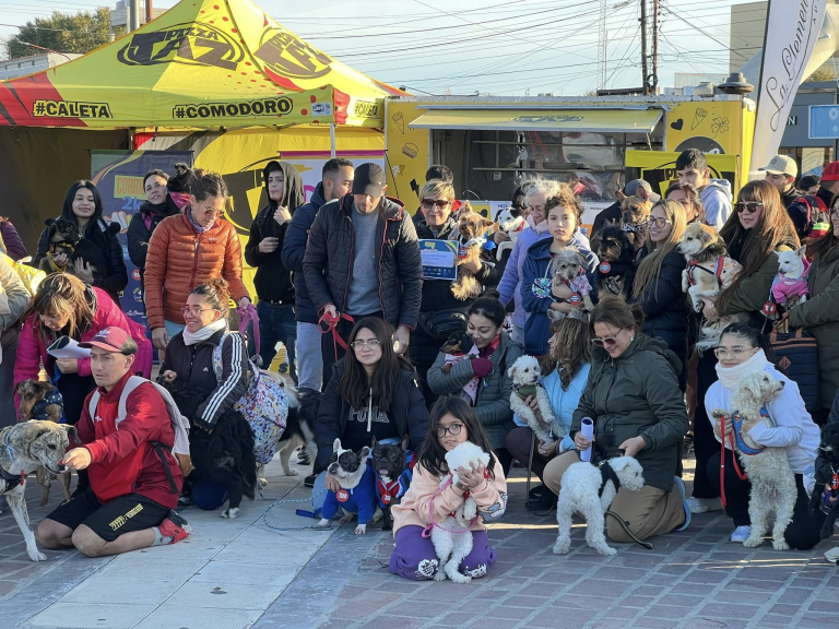 imagen_2025-05-31_181959389