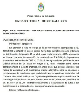 elecciones ucr reyes leguizamon2333