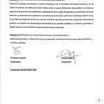 elecciones ucr reyes leguizamon23