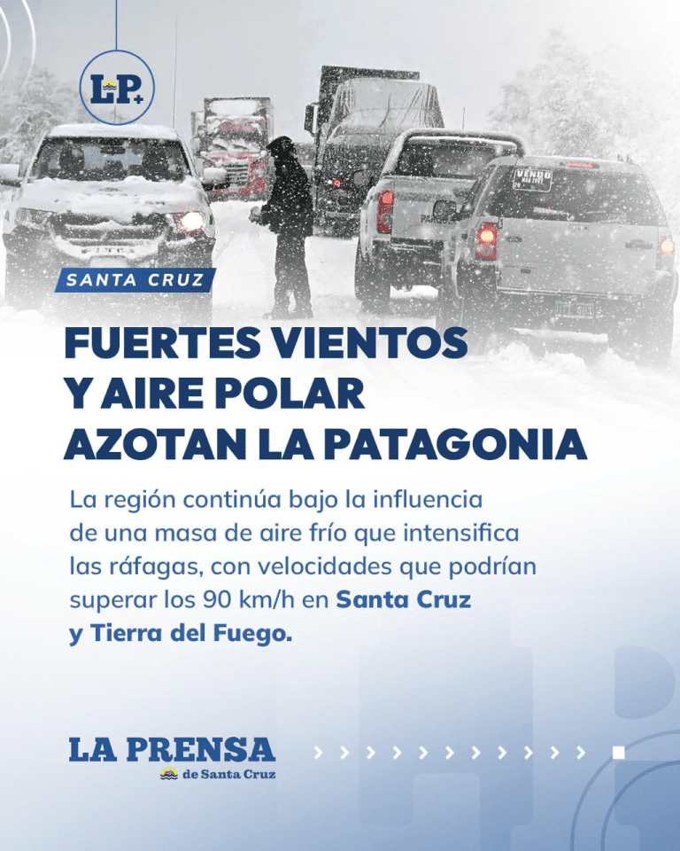 imagen_2025-06-04_235430621