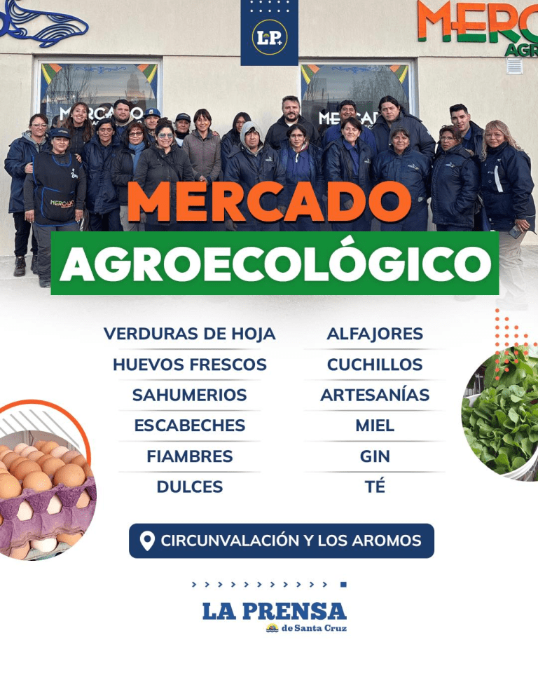 imagen_2025-06-18_120920617