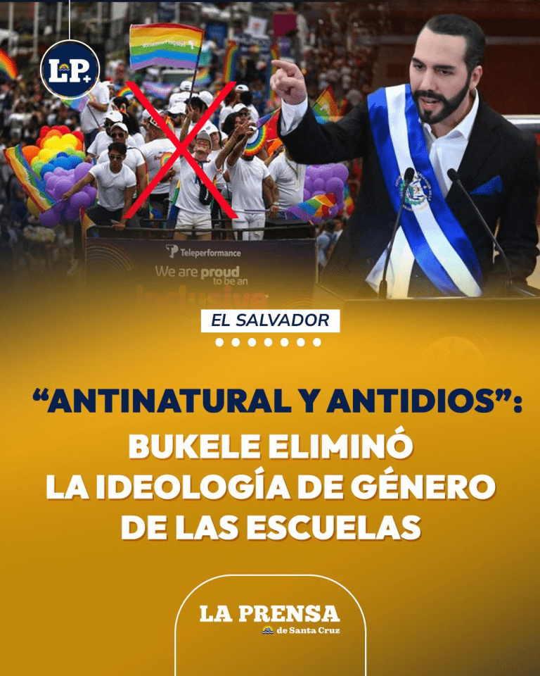 imagen_2025-06-22_141040513