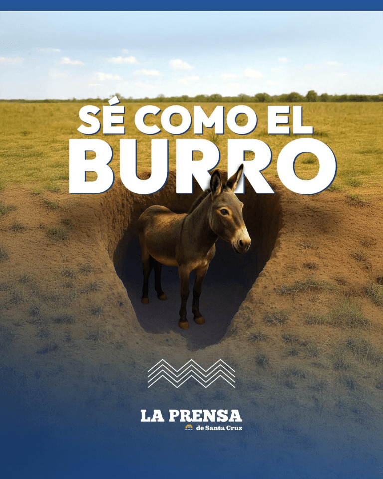 imagen_2025-07-03_214800698