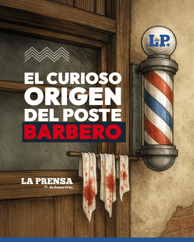 imagen_2025-07-05_205050272