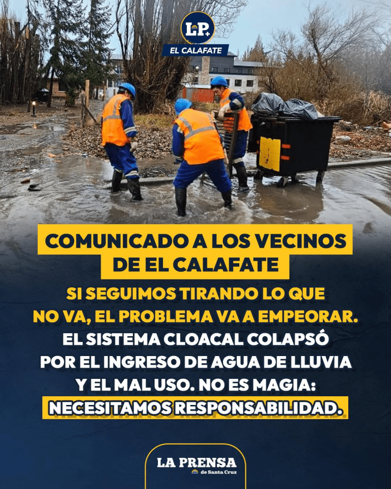 imagen_2025-07-10_231229287