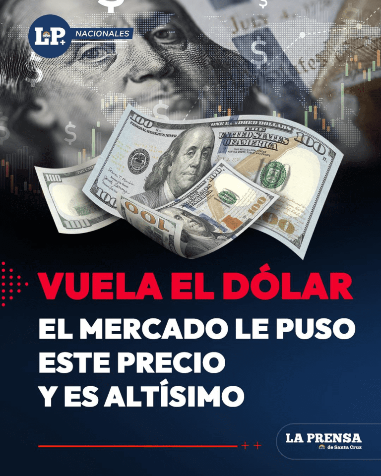 imagen_2025-07-12_152944431