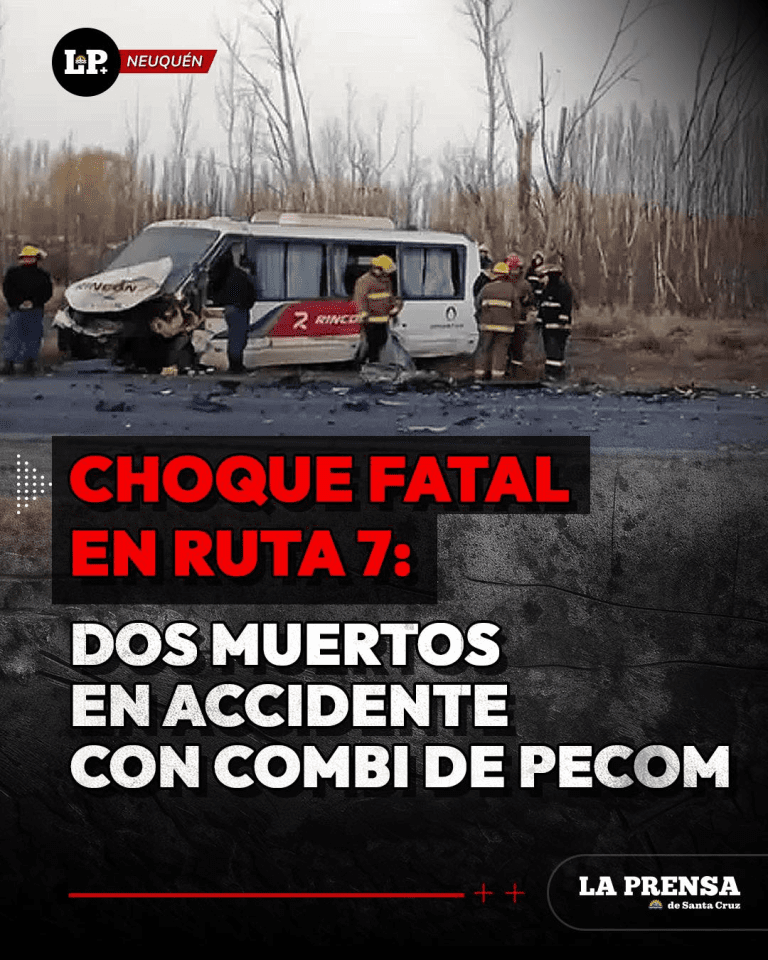 imagen_2025-07-12_153157291