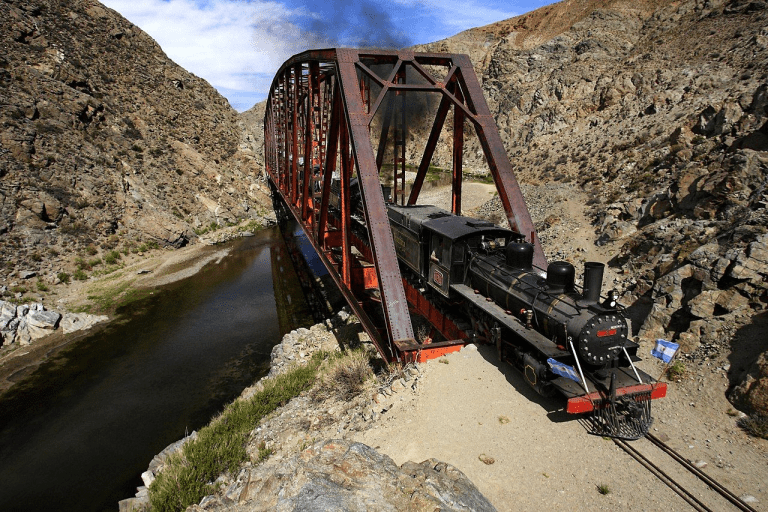 imagen_2025-07-16_213730005