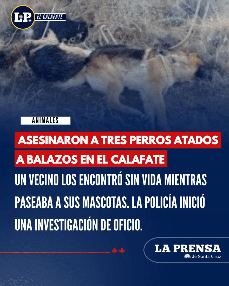 imagen_2025-07-16_214220965