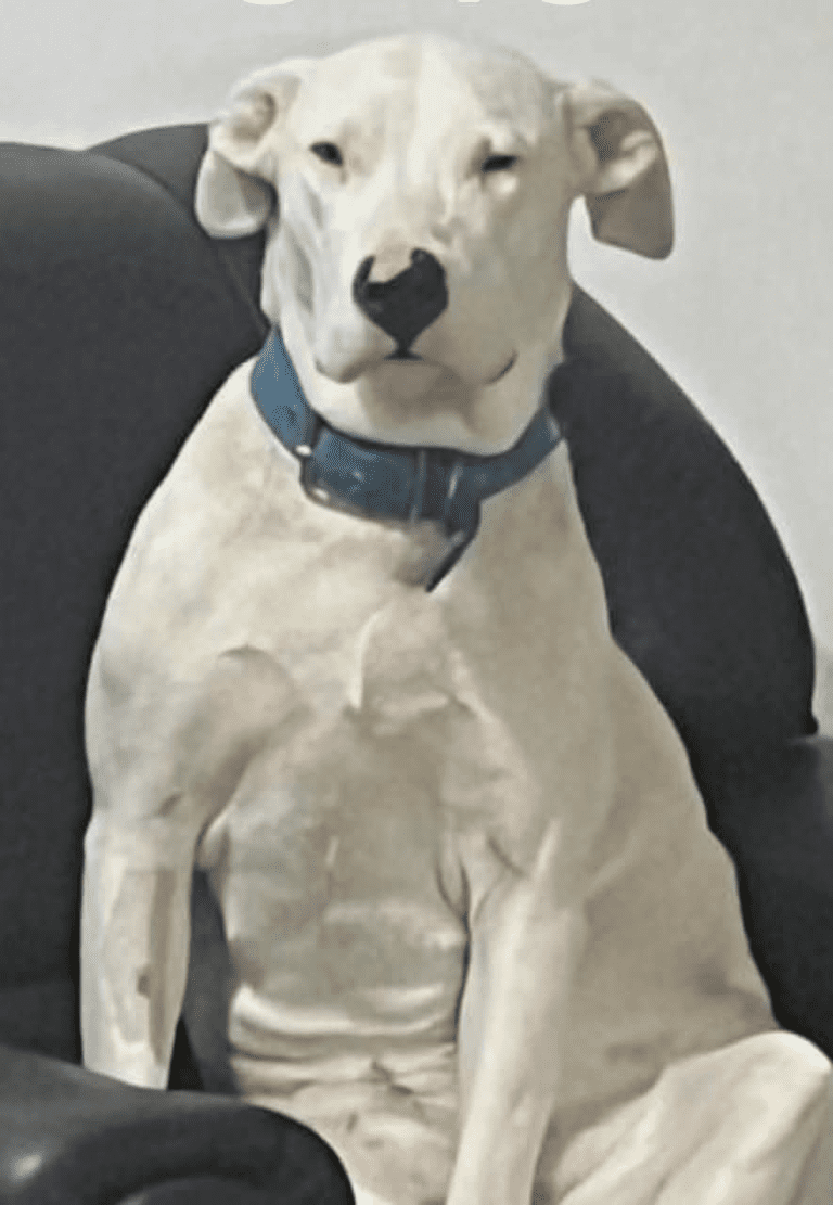 imagen_2025-07-20_125734759