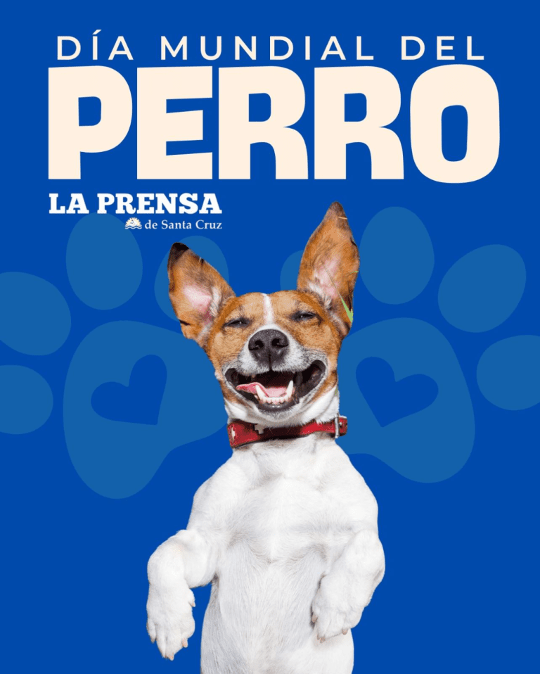 imagen_2025-07-21_155428630