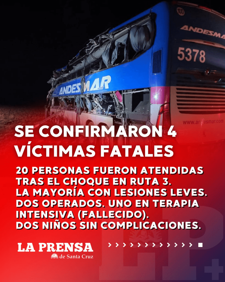 imagen_2025-07-25_115820647