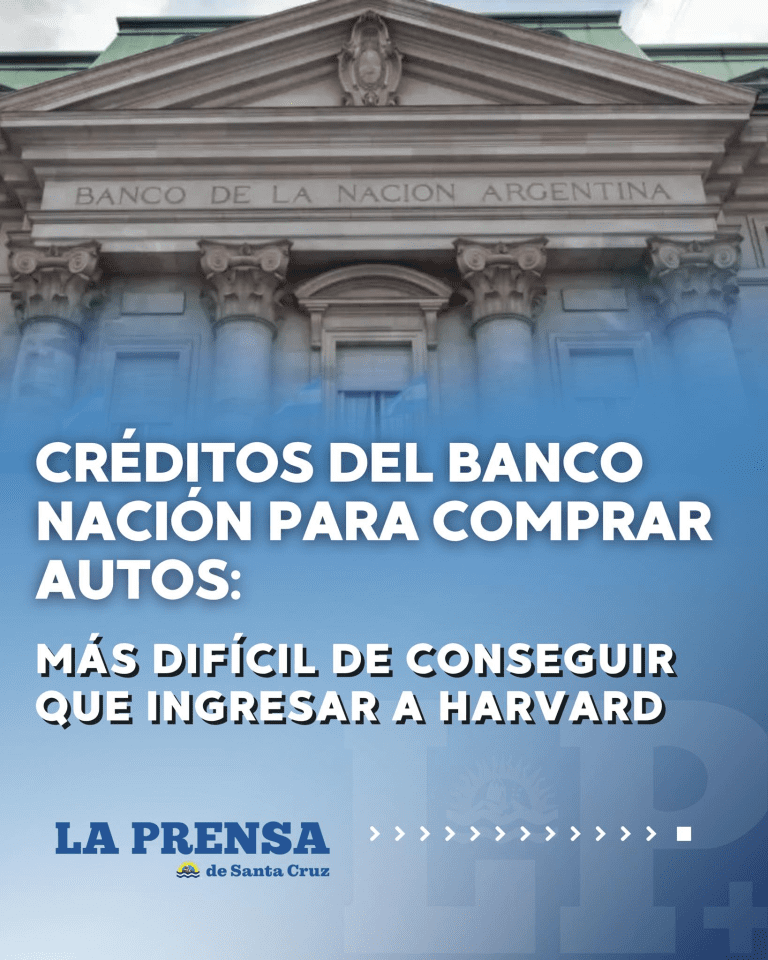 imagen_2025-07-25_120216577