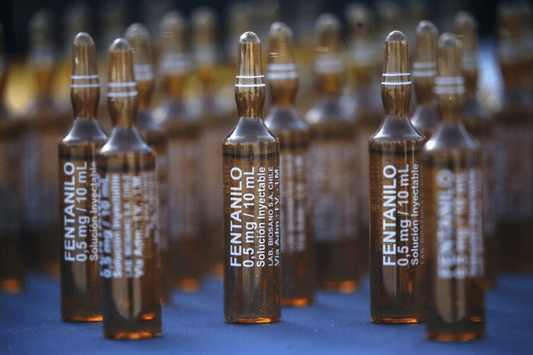 imagen_2025-07-29_011333742