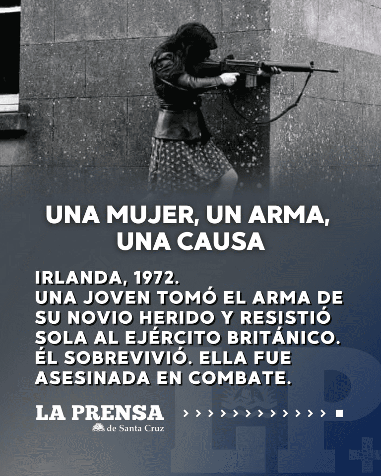 imagen_2025-07-29_011504415