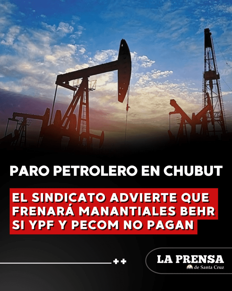 imagen_2025-07-29_115112080