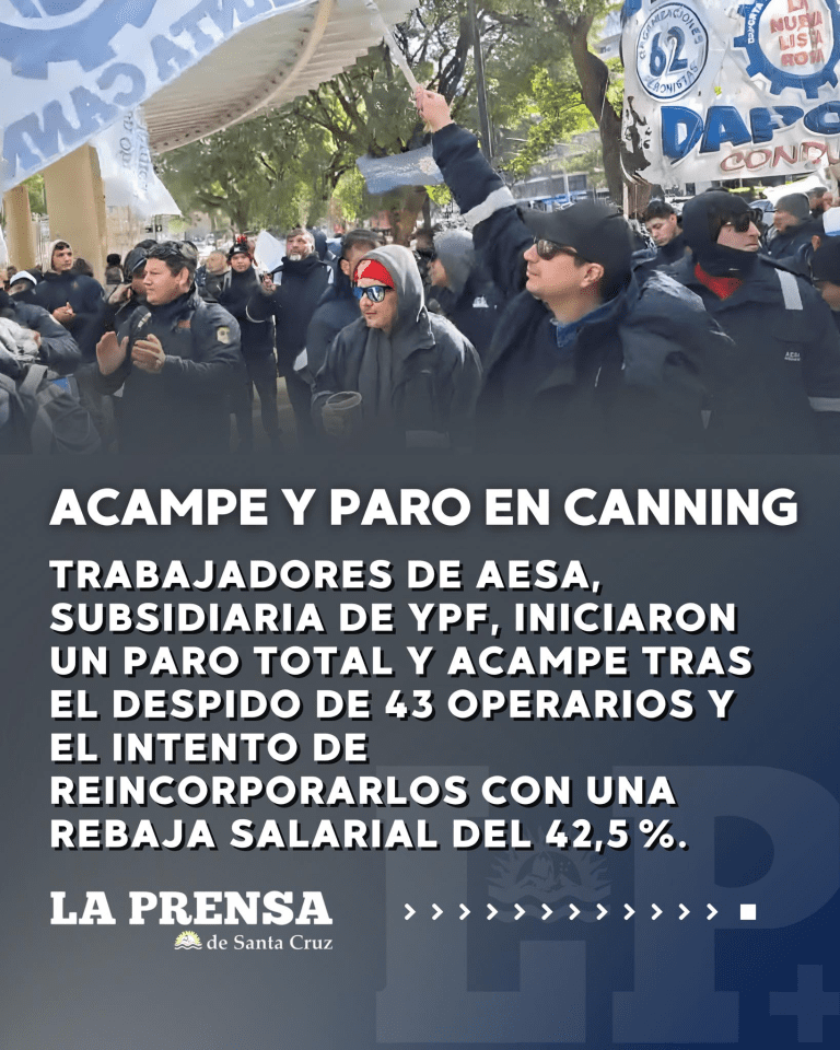 imagen_2025-07-29_115305477