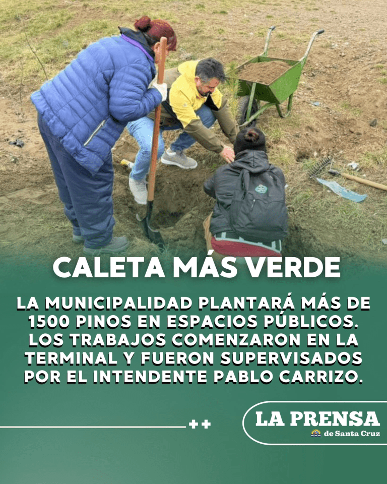 imagen_2025-07-29_164153430