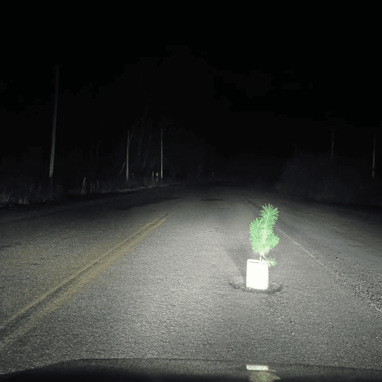 imagen_2025-08-03_101016126