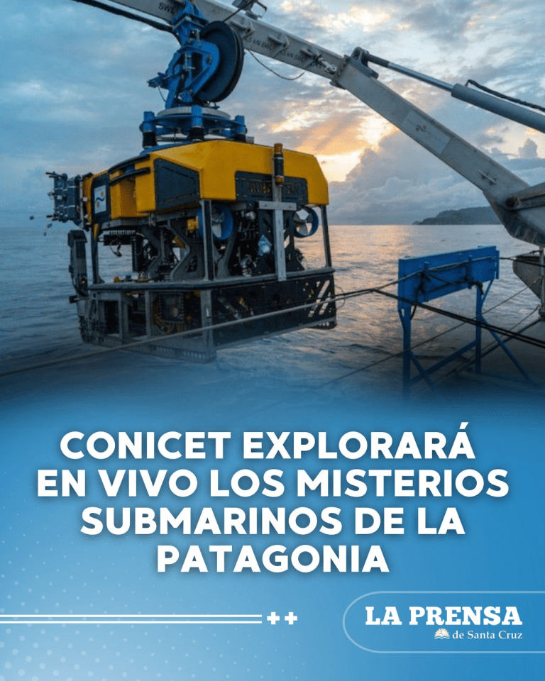 imagen_2025-08-12_123332980