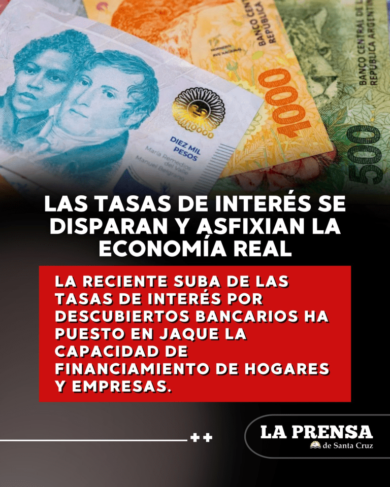 imagen_2025-08-15_210338218