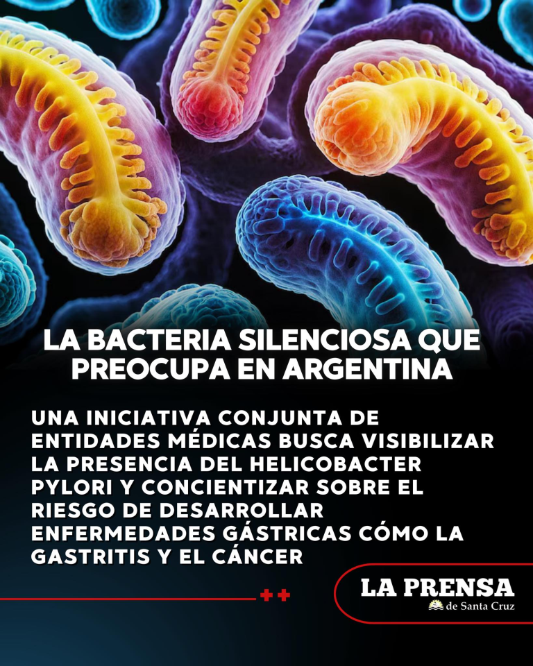 imagen_2025-09-04_094434851