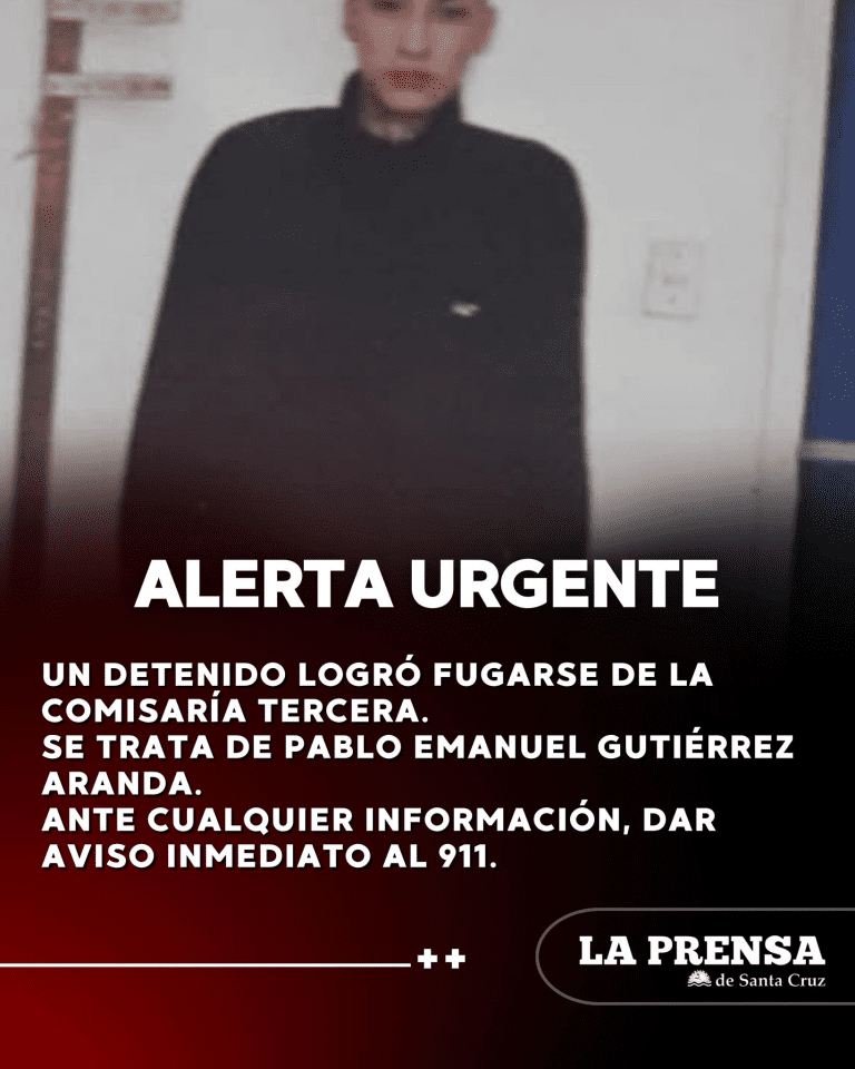 imagen_2025-09-09_215023829