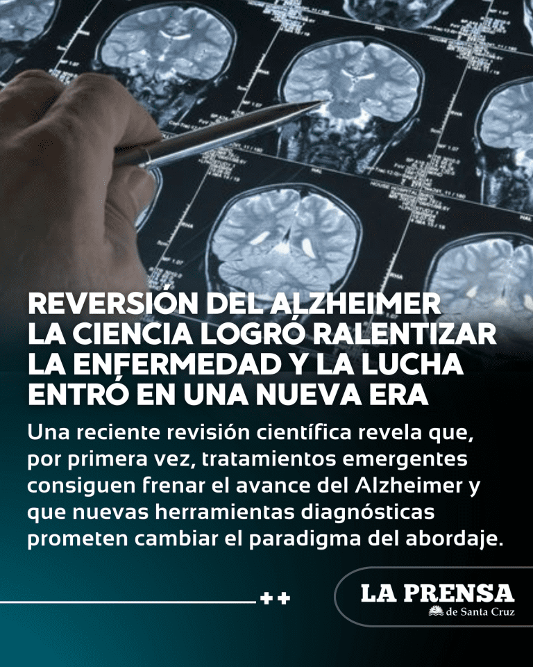 imagen_2025-09-29_094510218