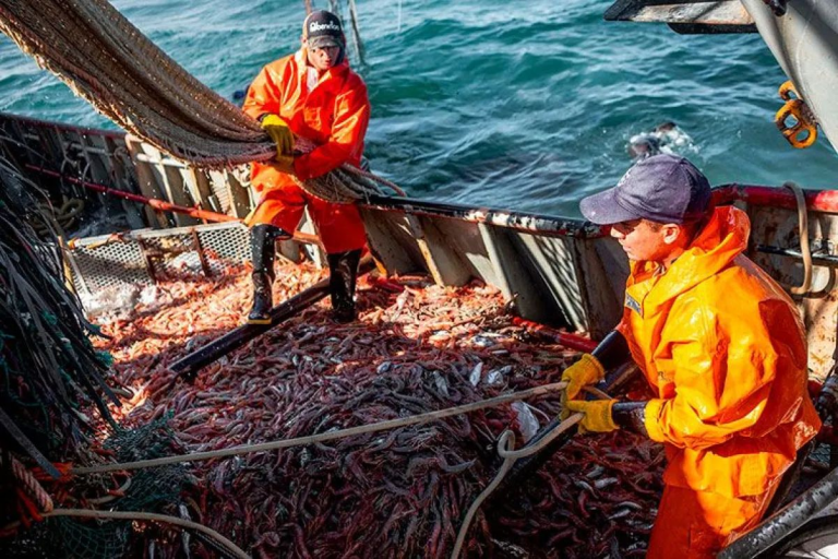 imagen_2025-10-01_161836027