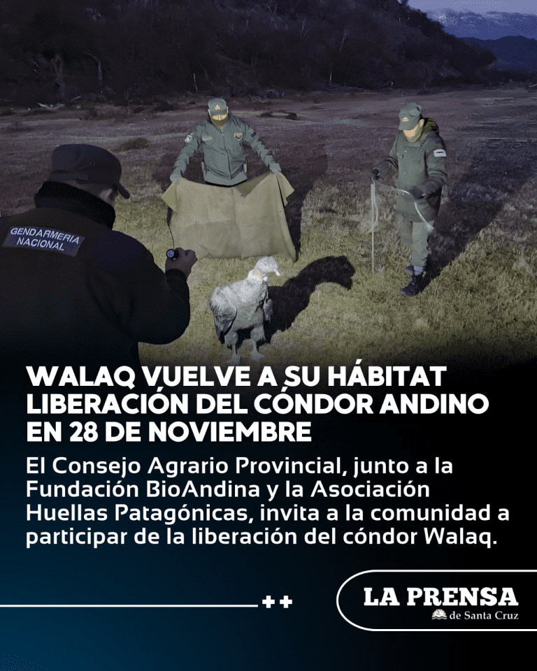 imagen_2025-10-07_111237939