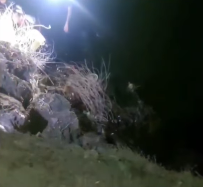 imagen_2025-10-08_083434736