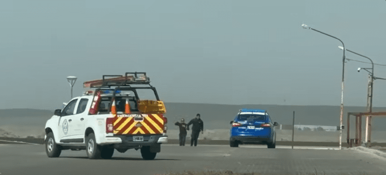 imagen_2025-10-08_201446556