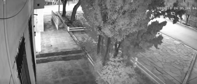 imagen_2025-10-24_164652003