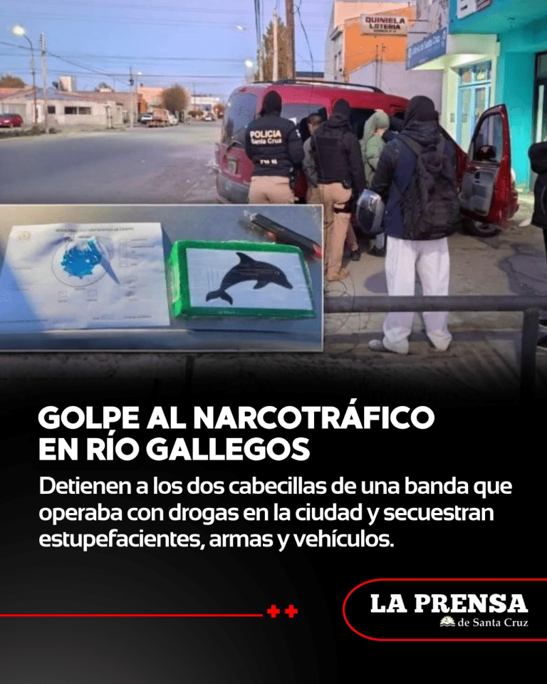 imagen_2025-10-25_230620033