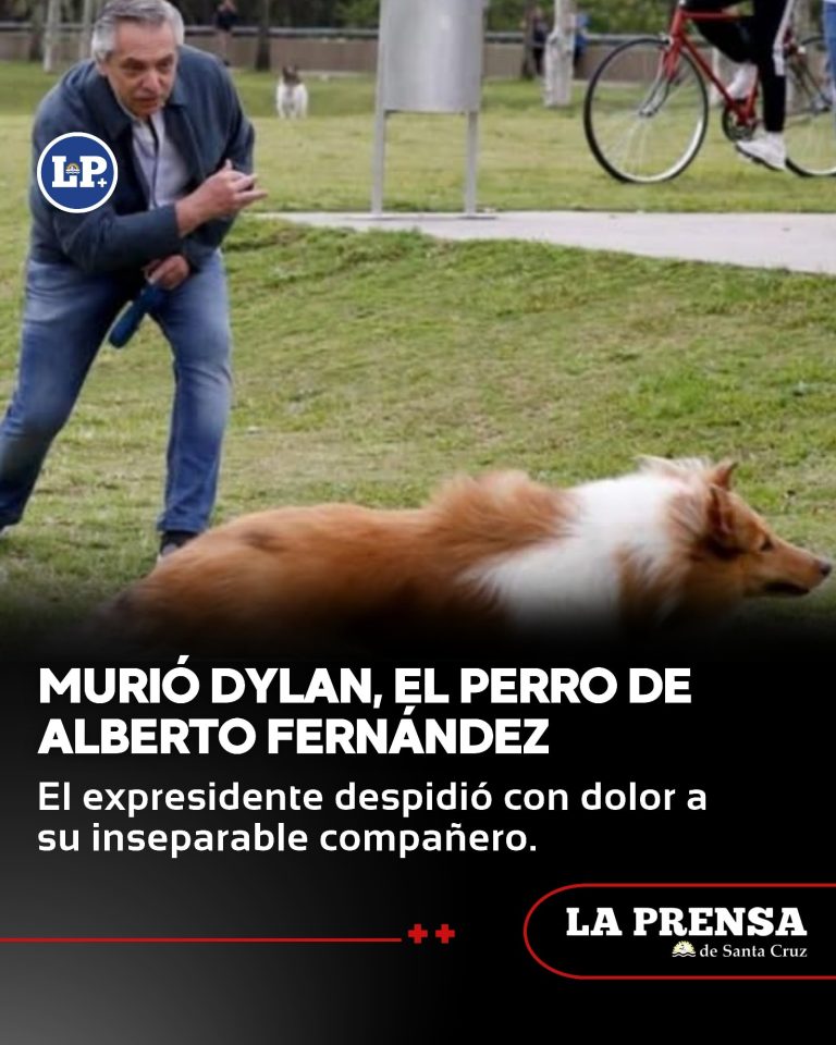 583325125_1408909181238229_2302841856485008111_n