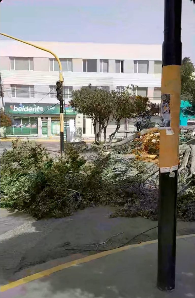 Screenshot_20251117_122854_Chrome