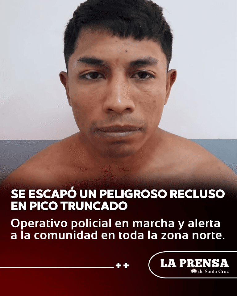 imagen_2025-11-07_213835520