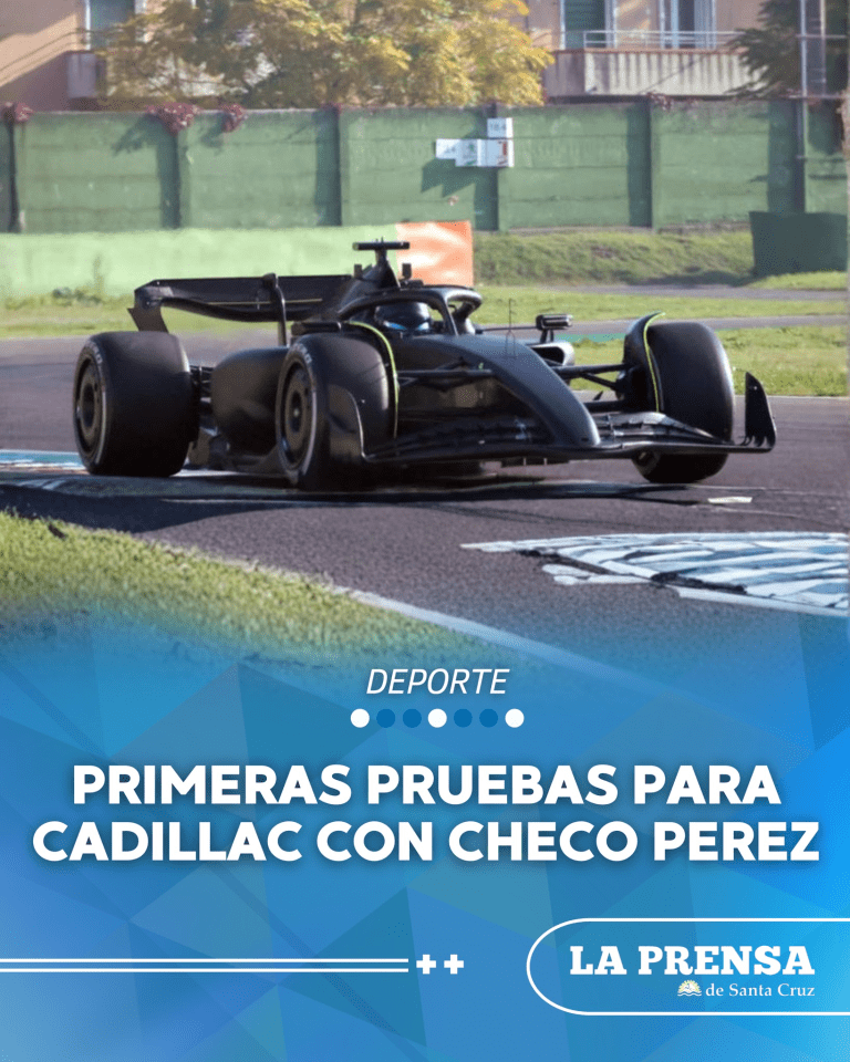 imagen_2025-11-13_194447402