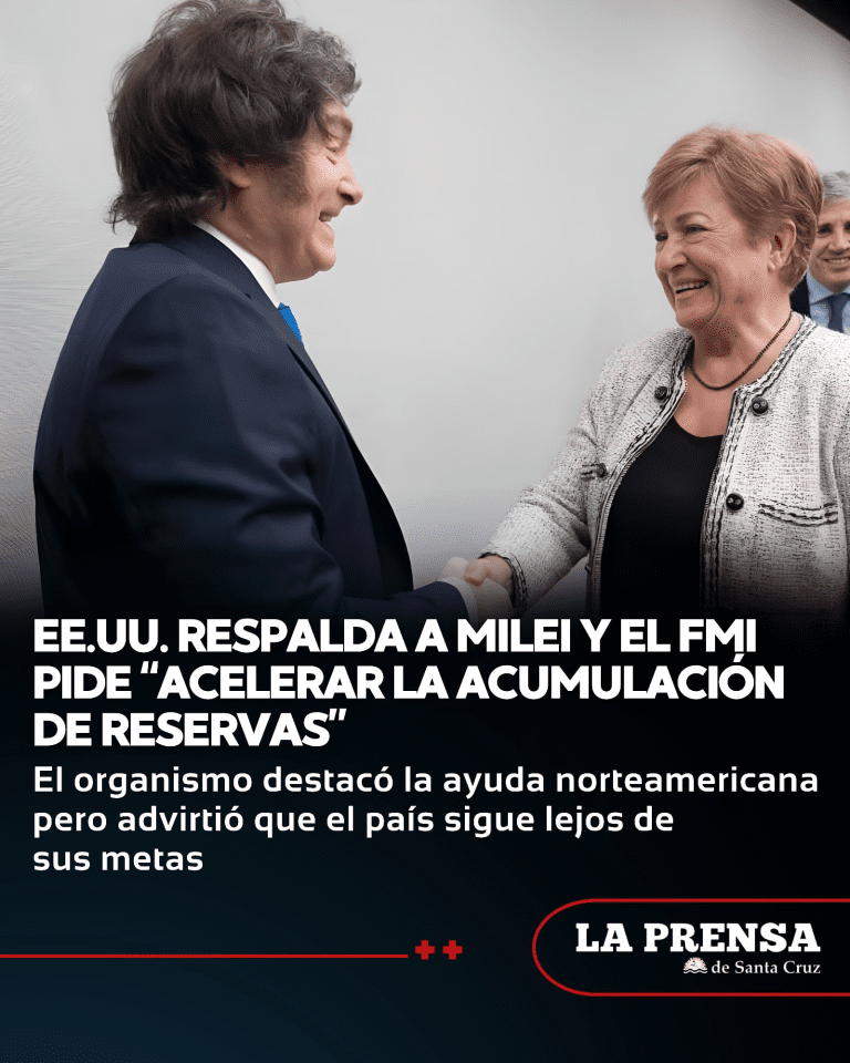 imagen_2025-11-13_194716670