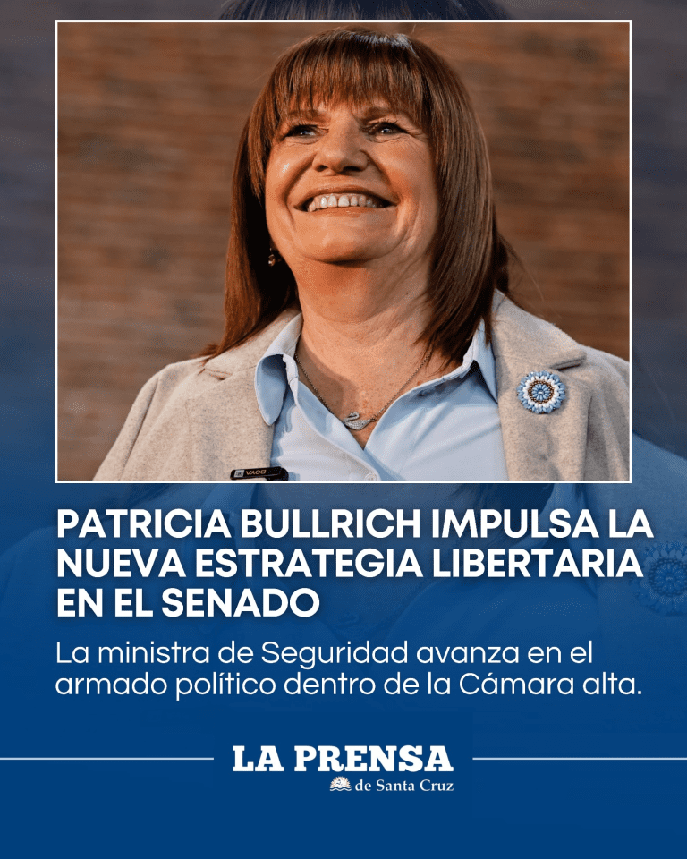 imagen_2025-11-21_000757042