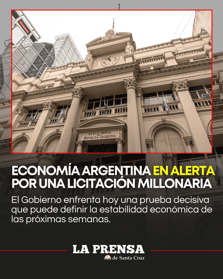 imagen_2025-11-26_124155020