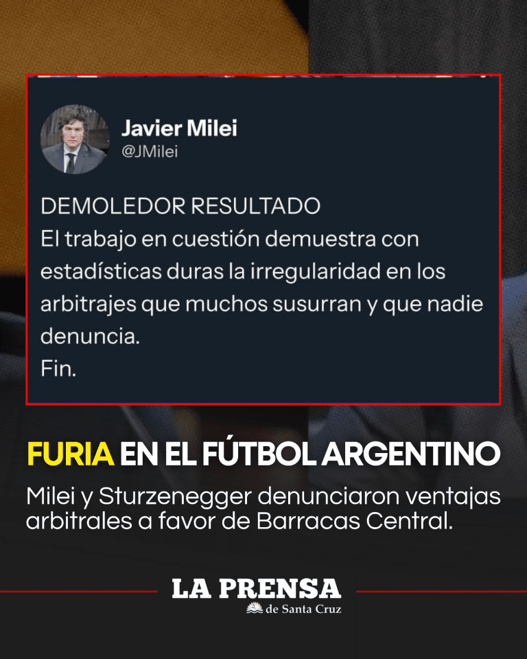 imagen_2025-11-26_210821346