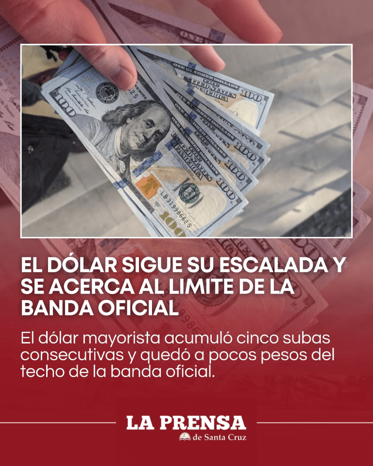 imagen_2025-11-26_211048296