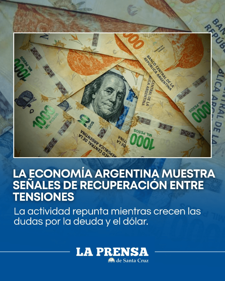 imagen_2025-11-27_144915115