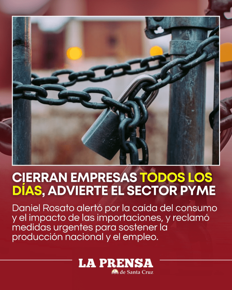 imagen_2025-11-28_131738295