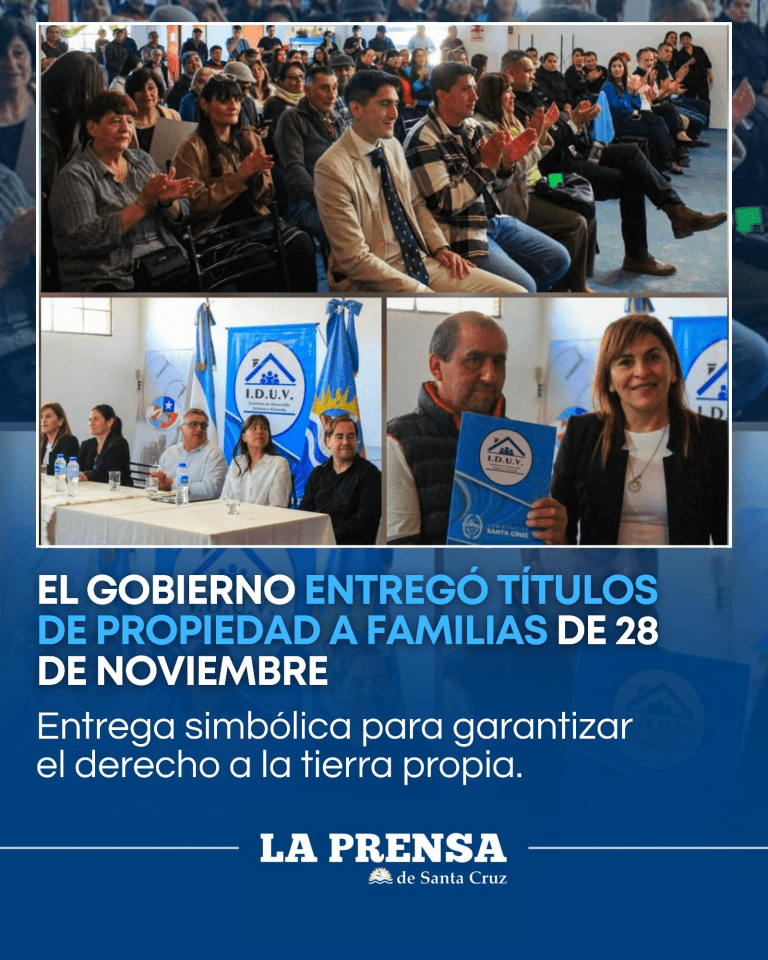 imagen_2025-11-29_222536380