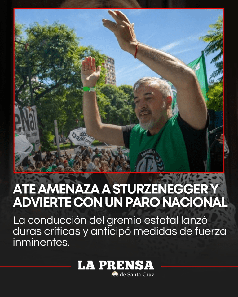 imagen_2025-12-01_125413629