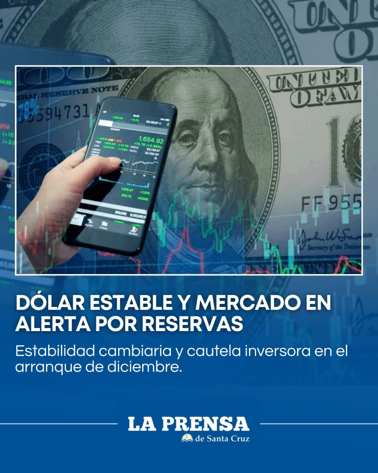 imagen_2025-12-02_122408737