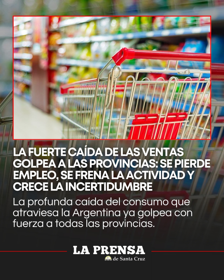 imagen_2025-12-02_200724869