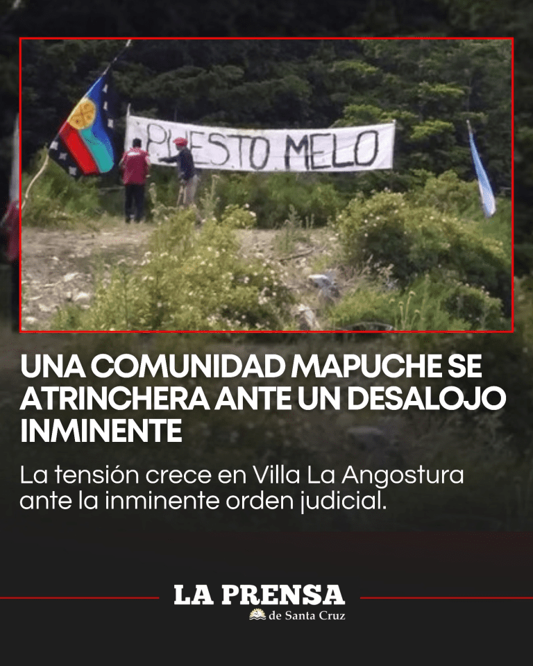 imagen_2025-12-03_074345291